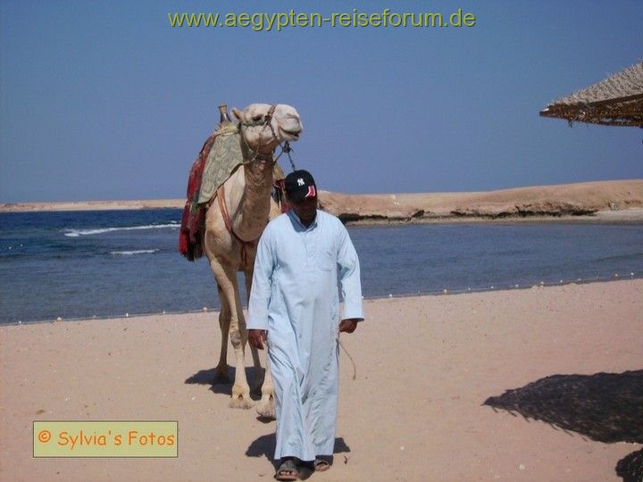 Mensch und Tier in Ägypten