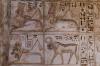 Tierisches Medinet Habu Tierisches Medinet Habu