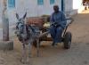 Eselskarren im Nubischen Dorf