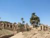 Palmen im Karnaktempel