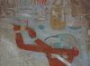 Thot ganz bunt :-) , Hatschepsut Kapelle  Karnak Tempel