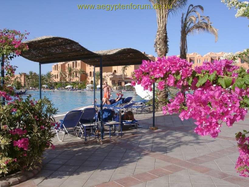 Makadi Oasis Pool