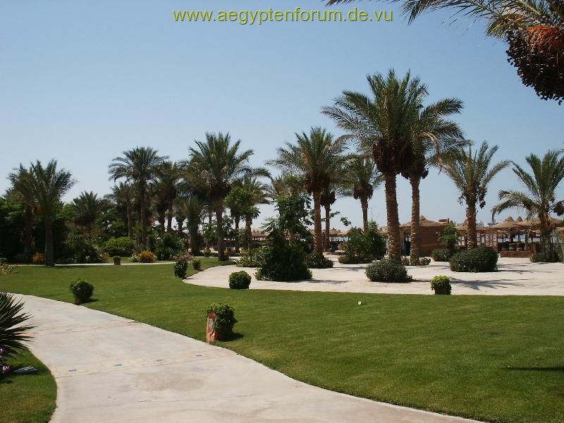 Makadi Beach