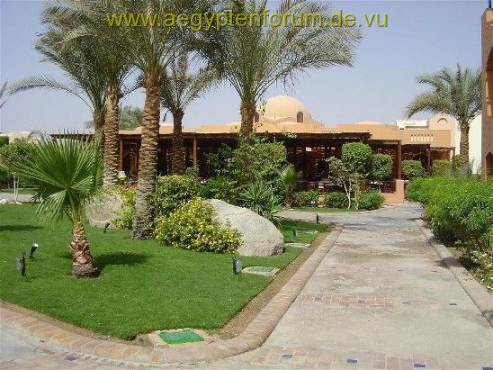Makadi Oasis