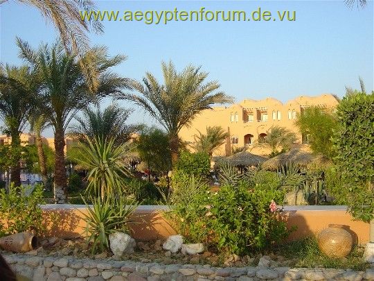 Makadi Oasis