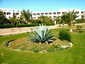 Gartenansicht