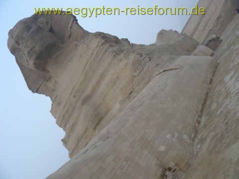 Sphinx von vorne
