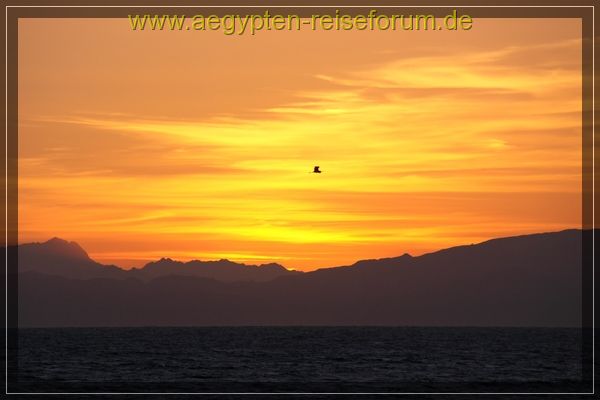 Dahab Sonnenaufgang