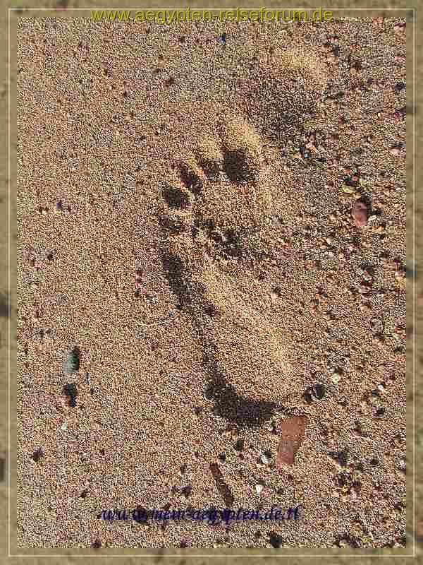 Fussspuren am Strand von Dahab 1