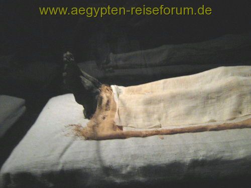 Füße von Ramses I