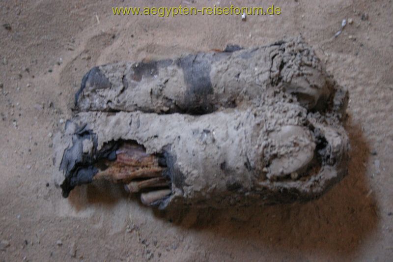 Mumien Füße (Fundort Qubet el Hawa bei Assuan)