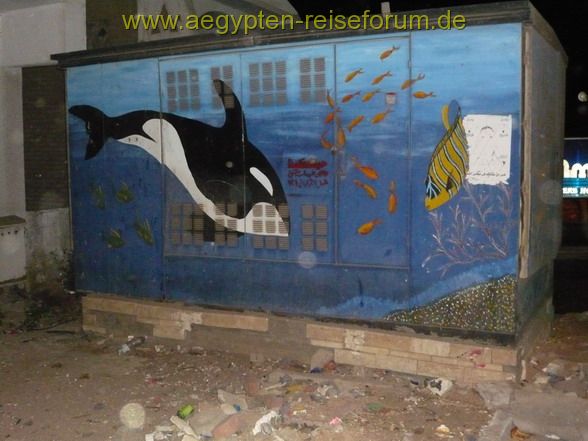 Dieser Killerwal wurde in Dahab gesichtet!! Wenn auch nur vauf einem Elektroverteiler.