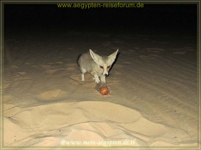 Näher geht kaum