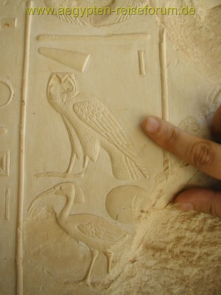 Wunderschöne Hieros mit vielen Details