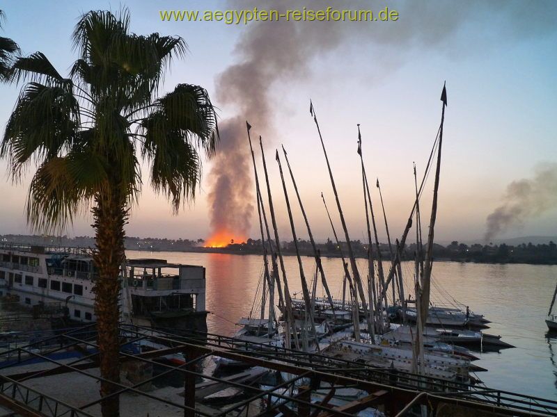 Feuer auf der Luxor Westbank