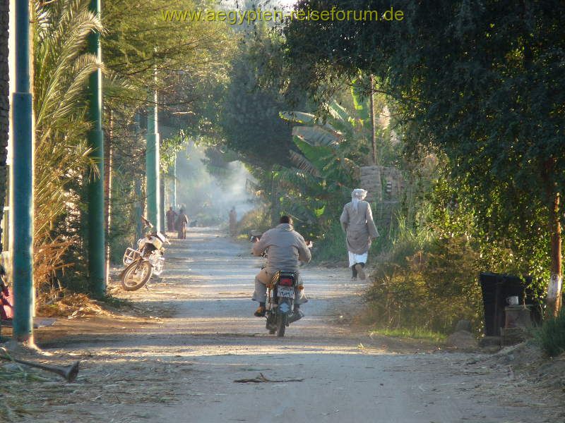 Alltag auf der Luxor Westbank