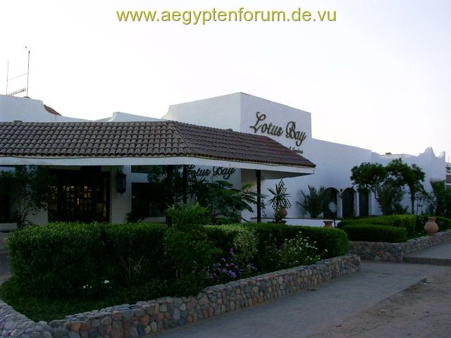 Hotel Lotus Bay in Safaga