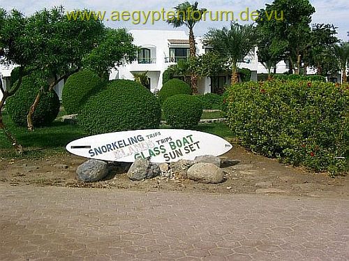 Hotel Lotus Bay in Safaga