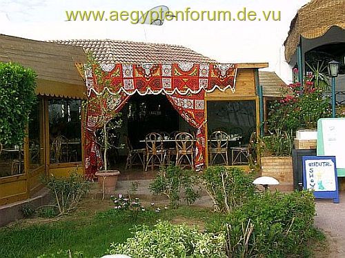 Hotel Lotus Bay in Safaga