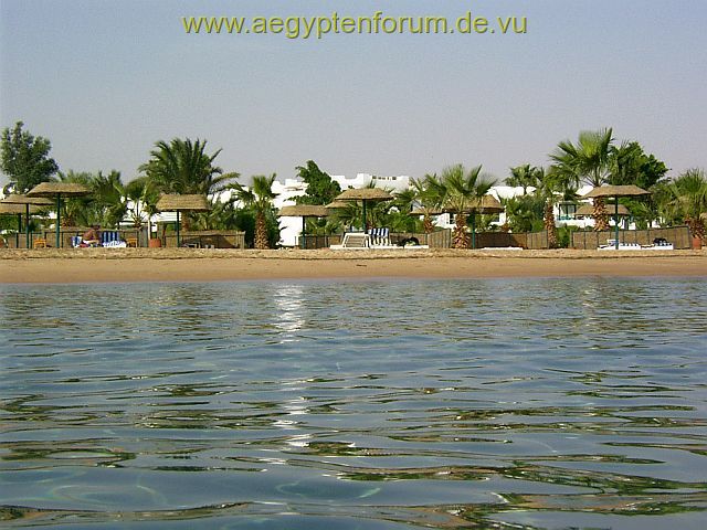 Hotel Lotus Bay in Safaga