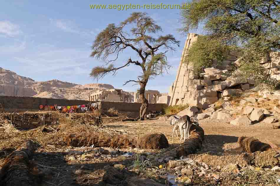 Ramesseum