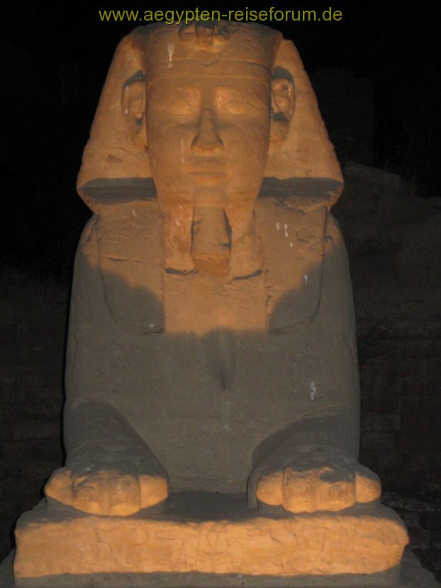 Sphinx zwischen Luxor- und Karnaktempel
