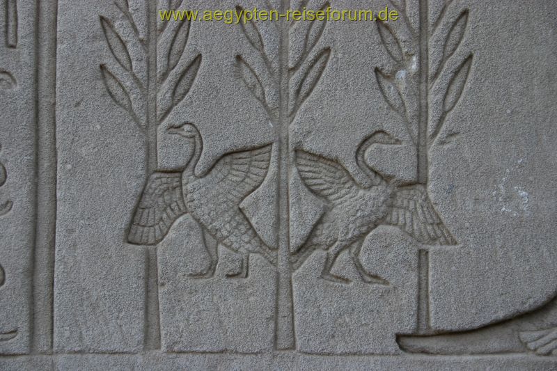 Enten aus Dendera