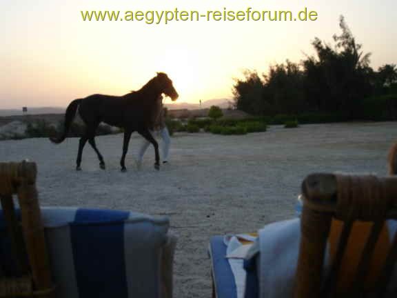 Flamenco Beach Resort - Abend am Strand