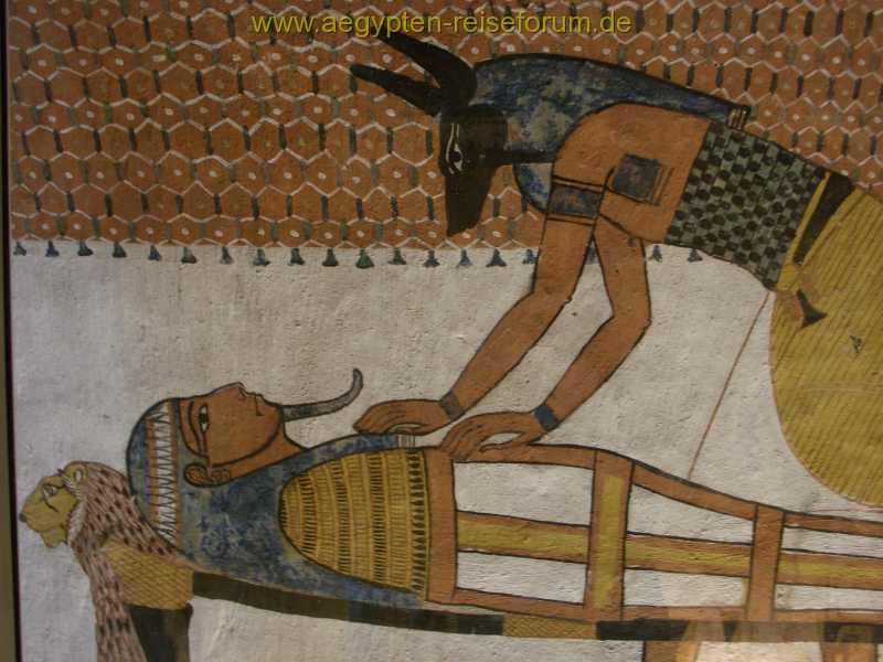 "Dr" Anubis