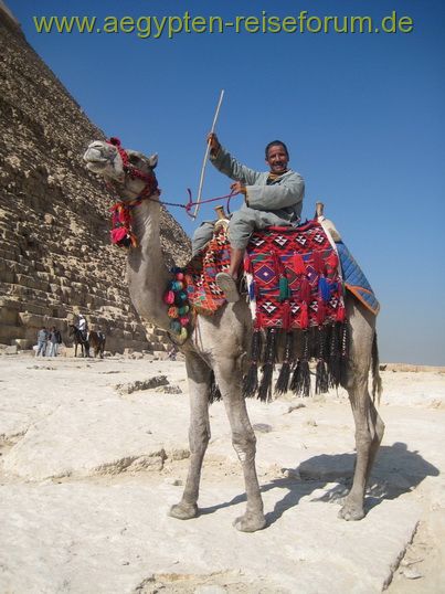 Kairo - Gizeh-Plateau 2009