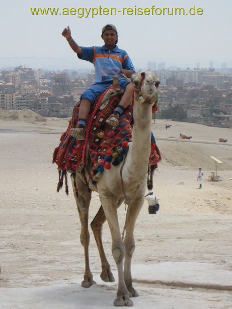Kairo - Gizeh-Plateau 2010