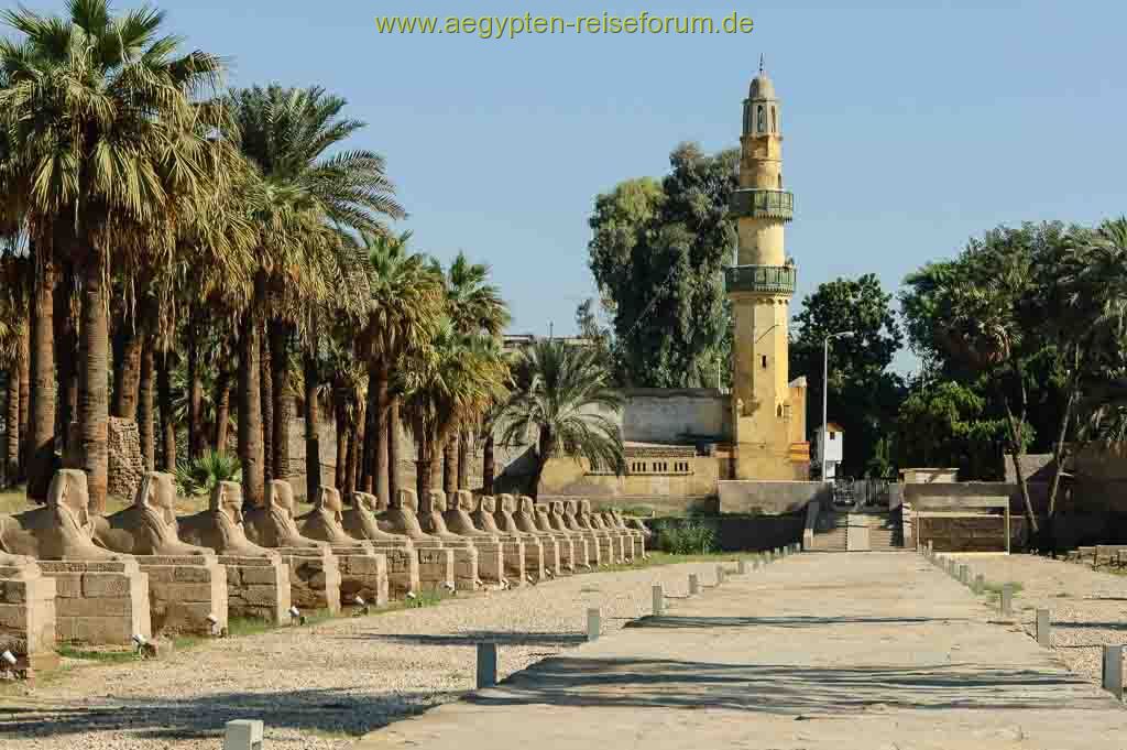 Sphinx-Allee beim Luxor-Tempel