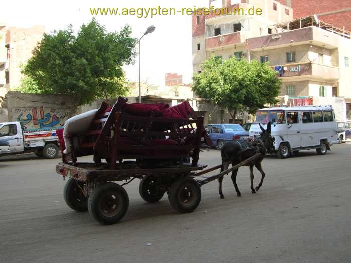 Umzugsunternehmen in Giza