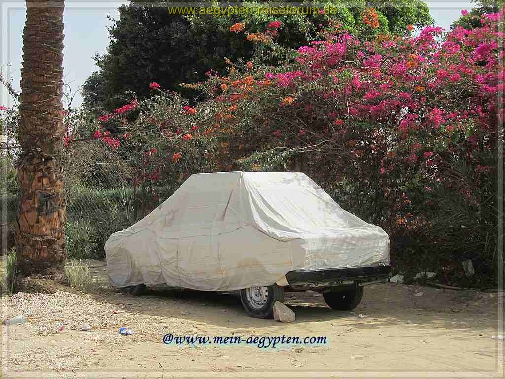 Auto-Zelt in Luxor