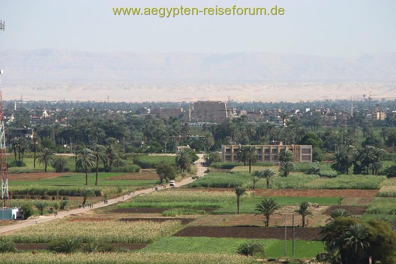 Felder der Westbank