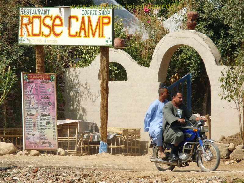 Rose Camp
