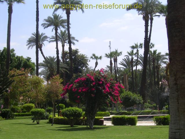 Winter Palace Luxor