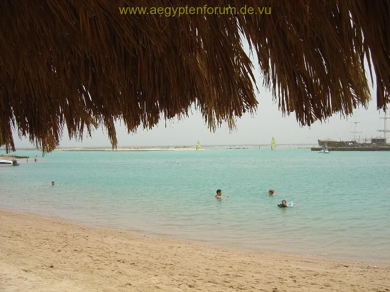 Royal Azur Blick zum Hausriff