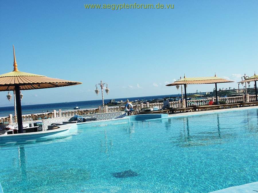 shedwan golden beach: pool