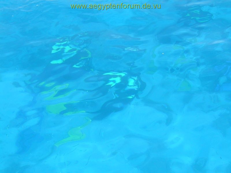 Blau in Hurghada