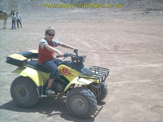 Quadsafari in Safaga