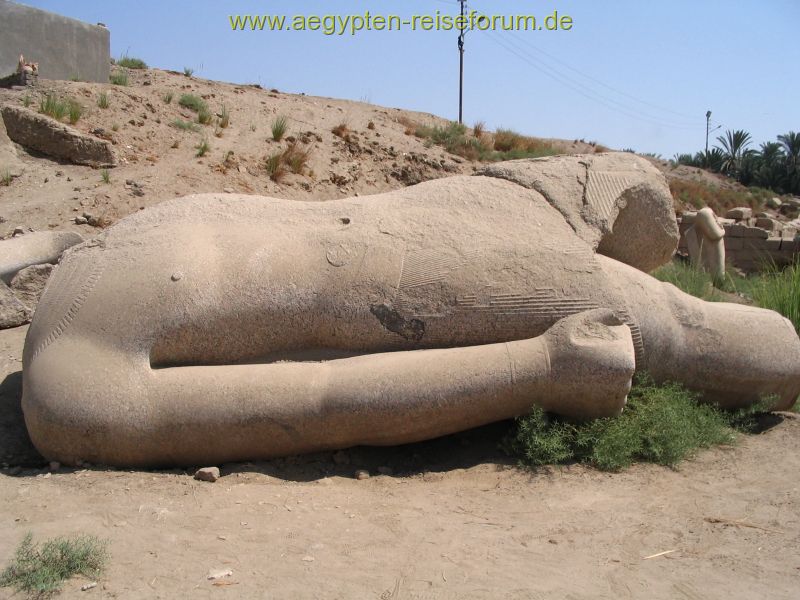 Ramses hält ein Nickerchen