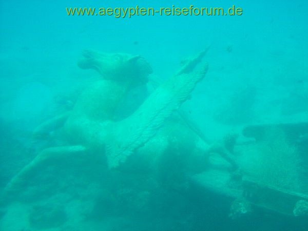 Mit dem Sindbad U-Boot unterwegs