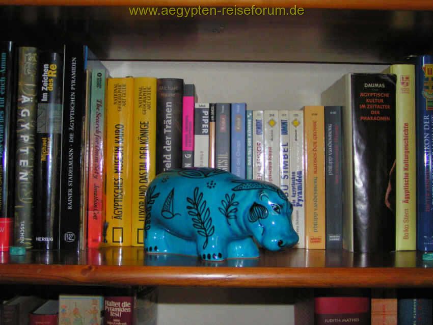 Kleiner Ausschnitt des Bücherregales