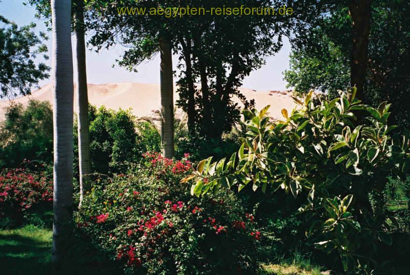 Botanischer Garten