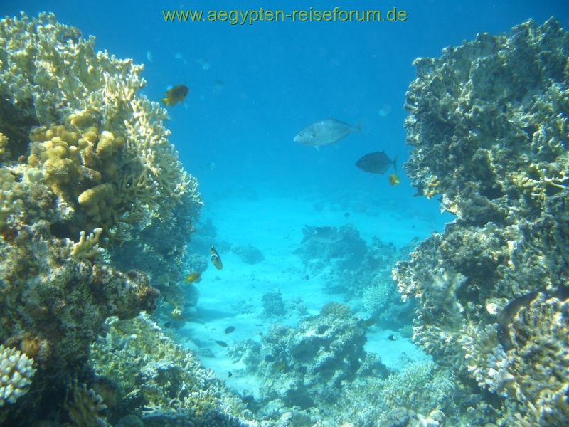 Blick aus dem Kanal