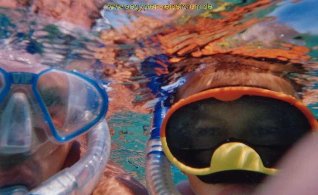 Abgetaucht in der Makadi Bay