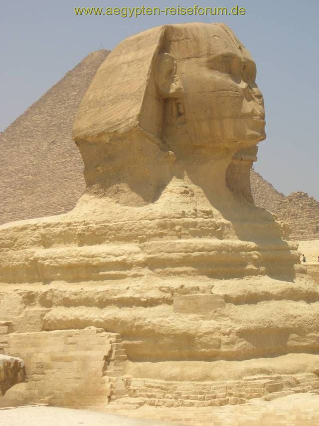 Kopf Sphinx