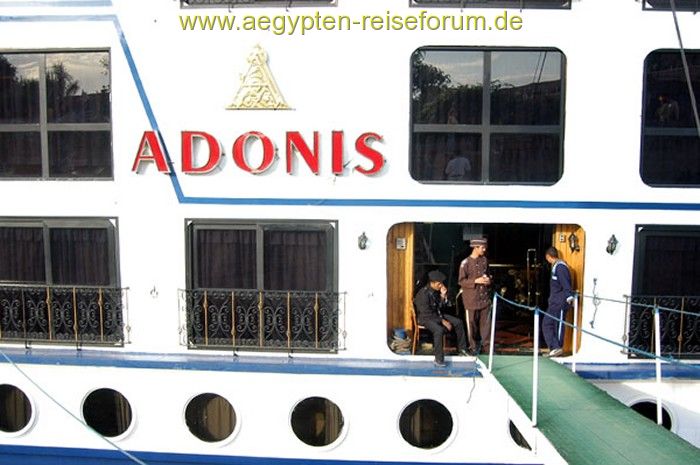 MS Adonis