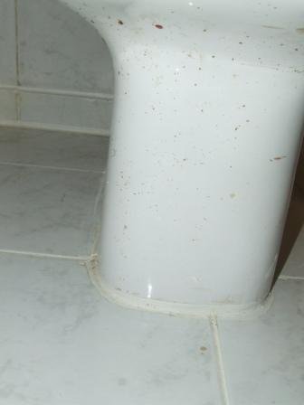 Pfui-Toilette Cheops III